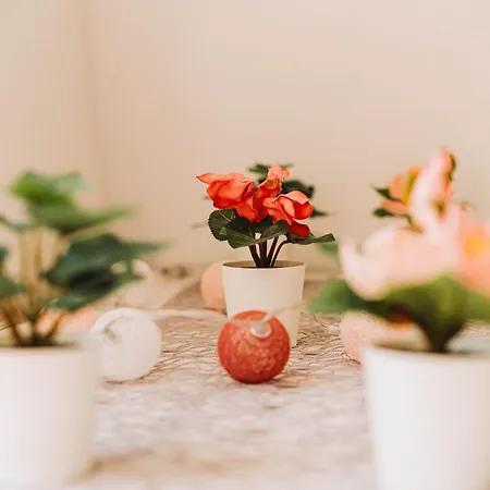 Ringat-lak Panoramic Hideout Just For 2 * 大毛罗什