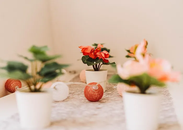 Ringat-lak Panoramic Hideout Just For 2 * Nagymaros